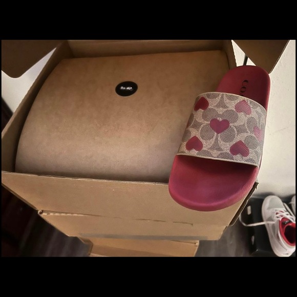 Coach slides - Picture 2 of 2